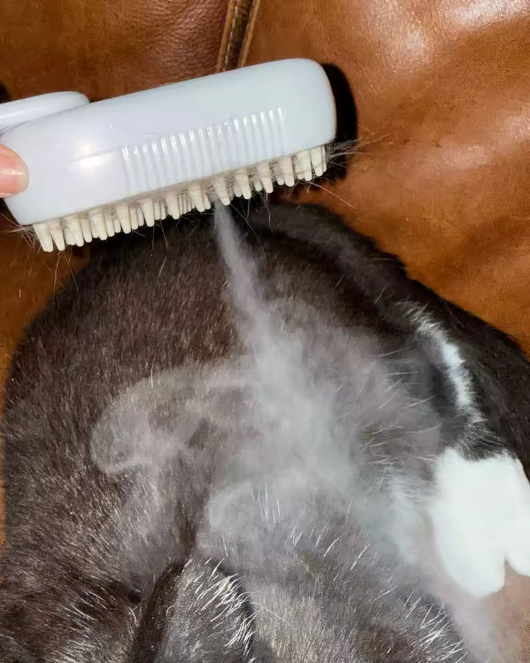 Pet Steam Brush🐾