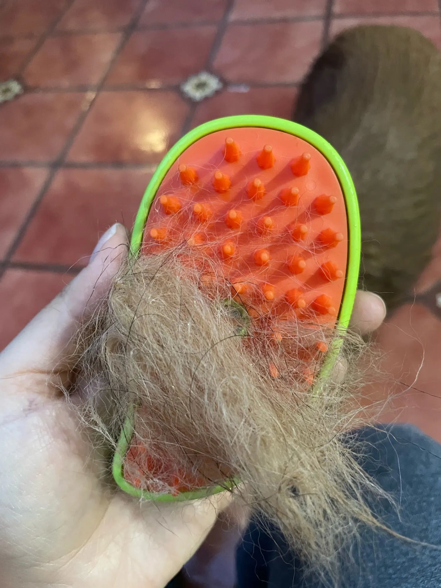 Pet Steam Brush🐾