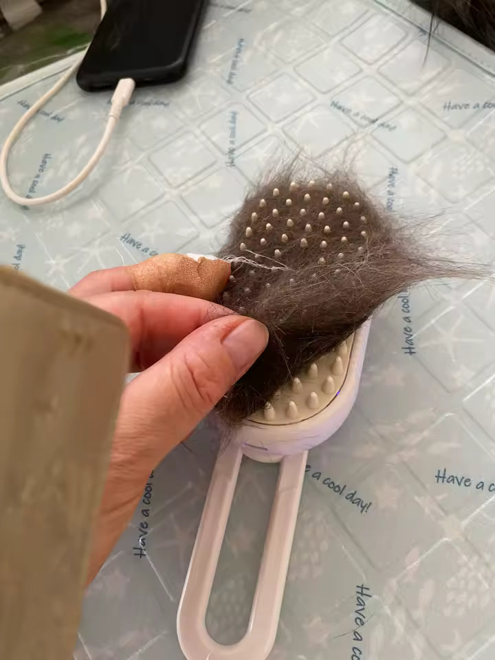 Pet Steam Brush🐾